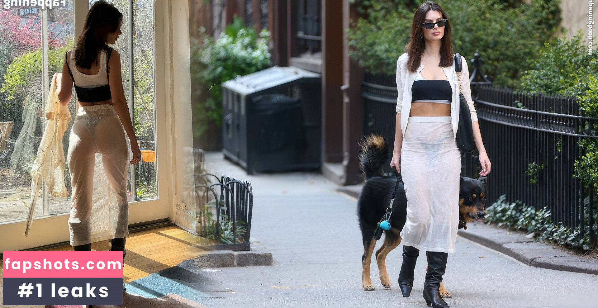 Emily Ratajkowski gallery photo #1998