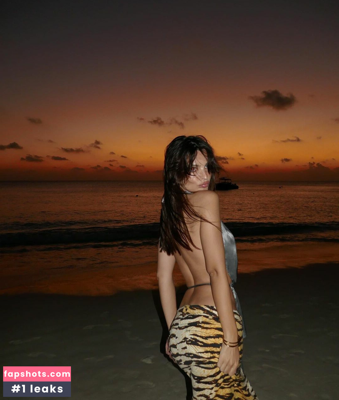 Emily Ratajkowski gallery photo #2451