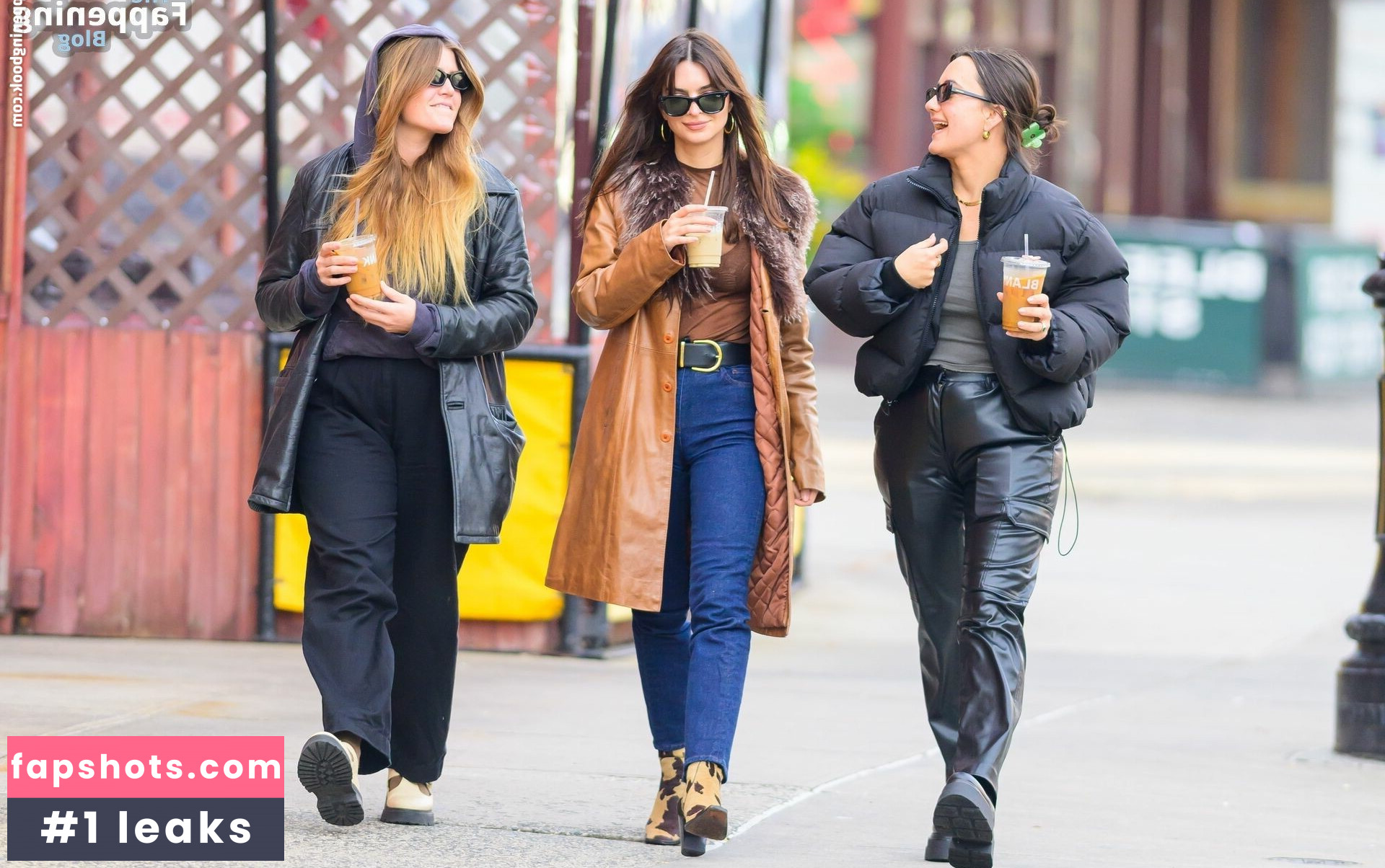 Emily Ratajkowski gallery photo #2661