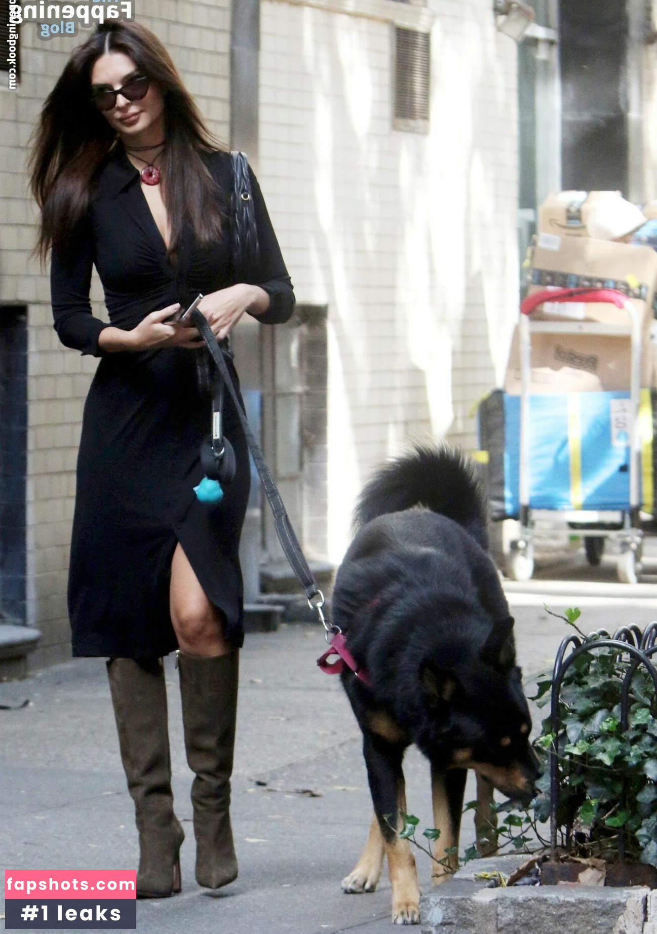 Emily Ratajkowski gallery photo #3000