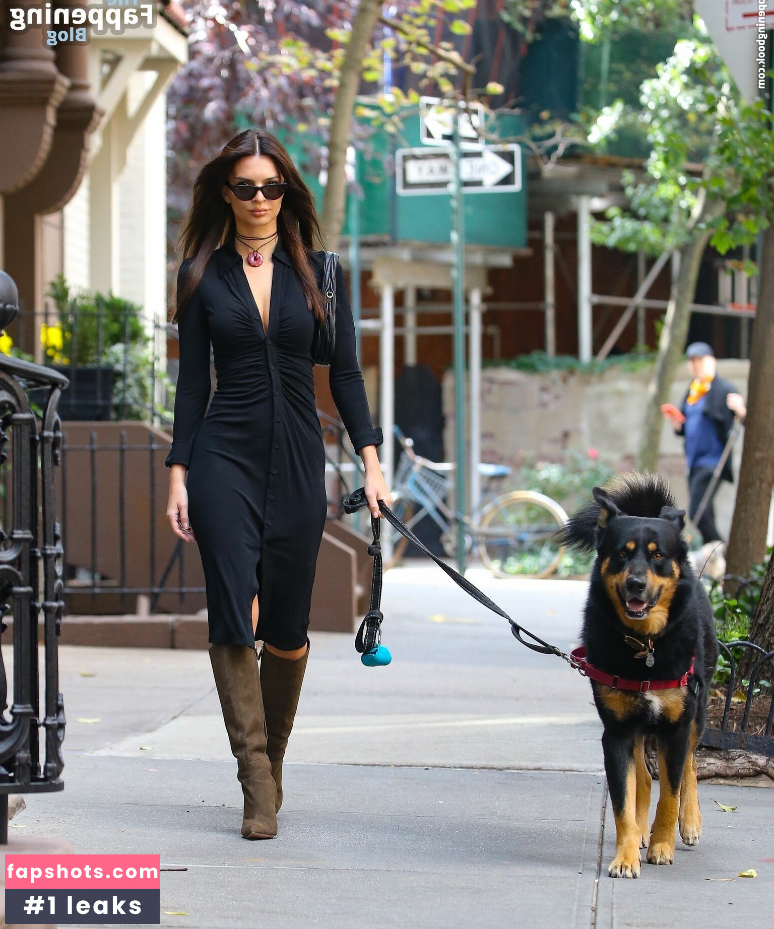 Emily Ratajkowski gallery photo #3030