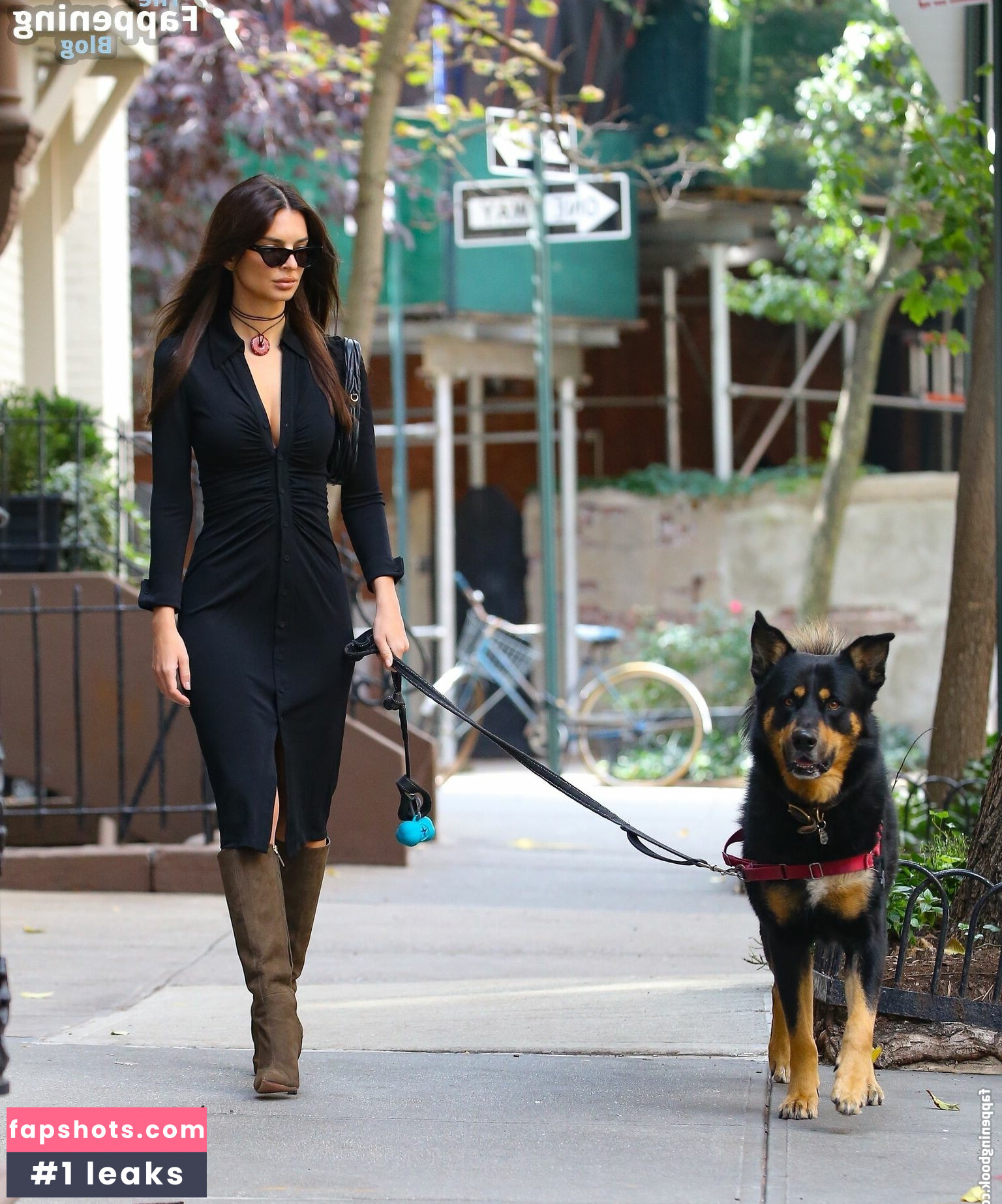 Emily Ratajkowski gallery photo #3032