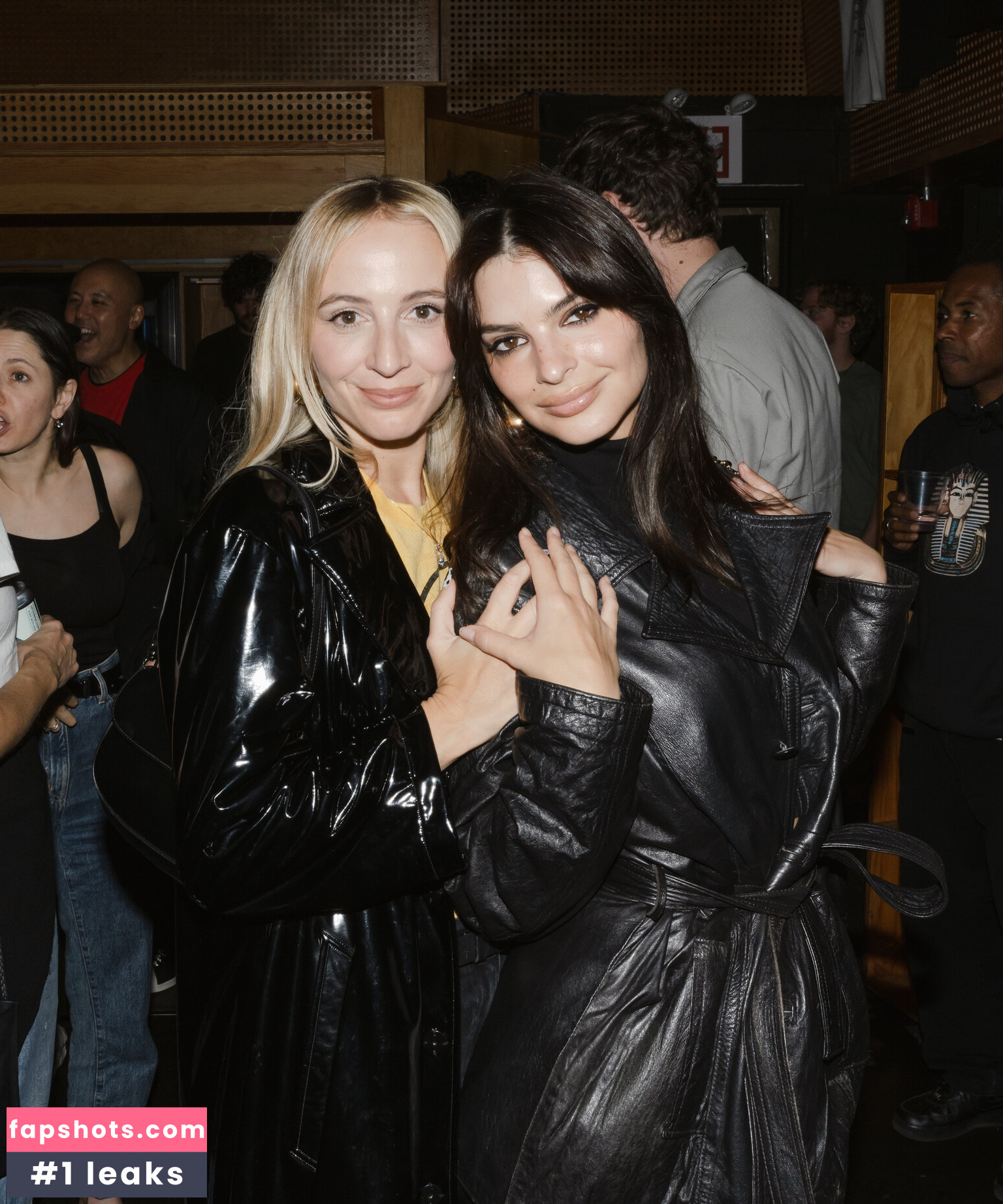 Emily Ratajkowski gallery photo #3060