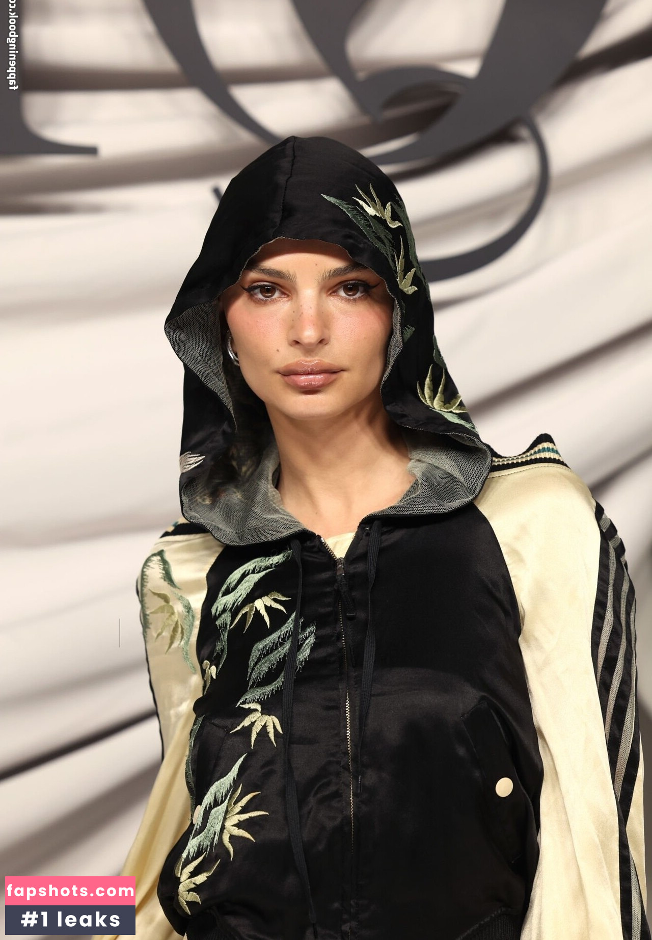 Emily Ratajkowski gallery photo #3228