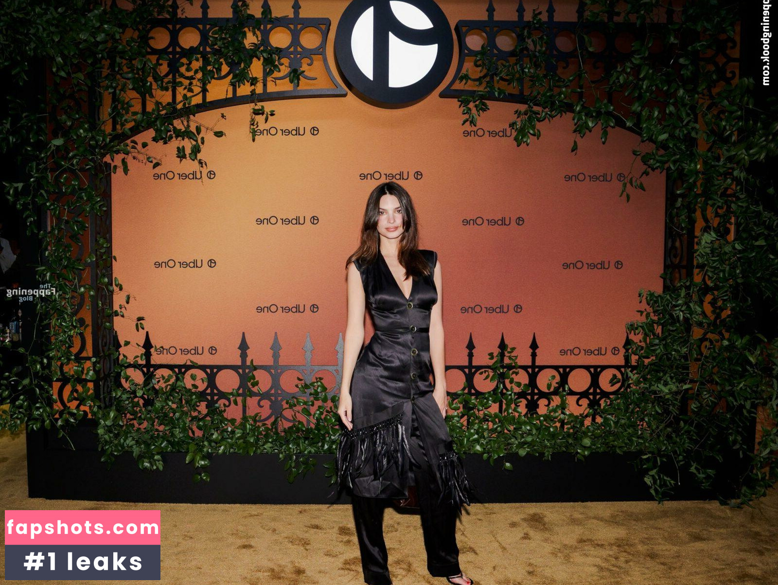 Emily Ratajkowski gallery photo #343