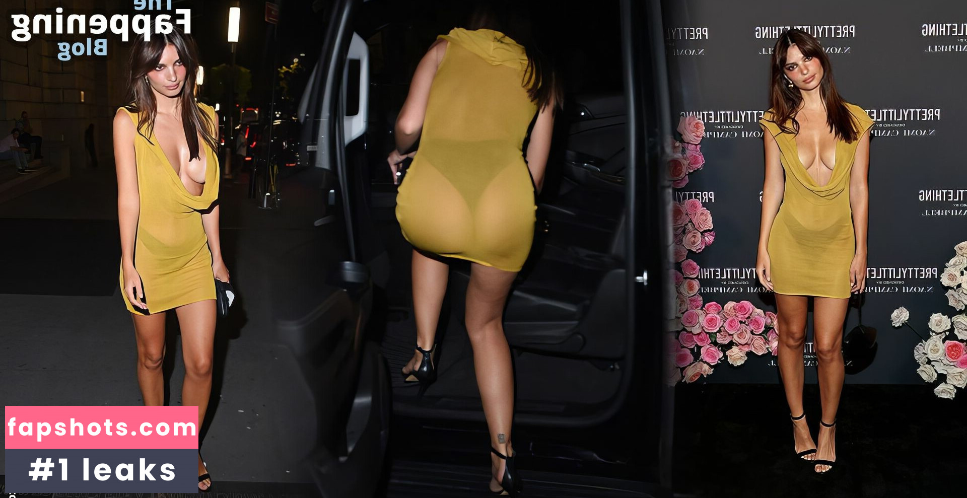 Emily Ratajkowski gallery photo #3962