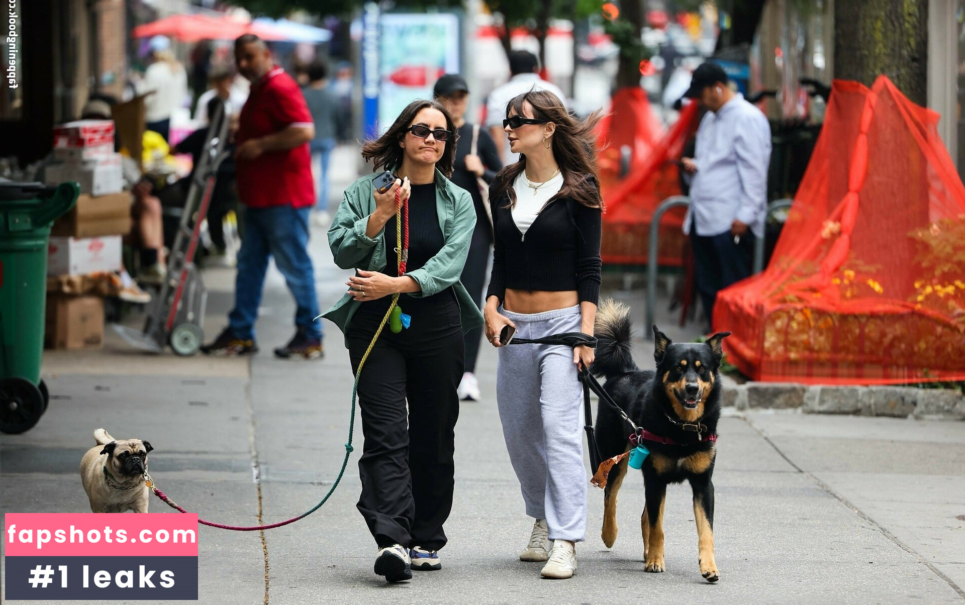 Emily Ratajkowski gallery photo #4537