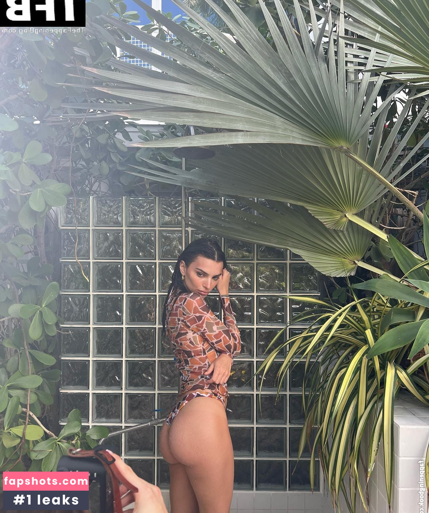 Emily Ratajkowski gallery photo #5117