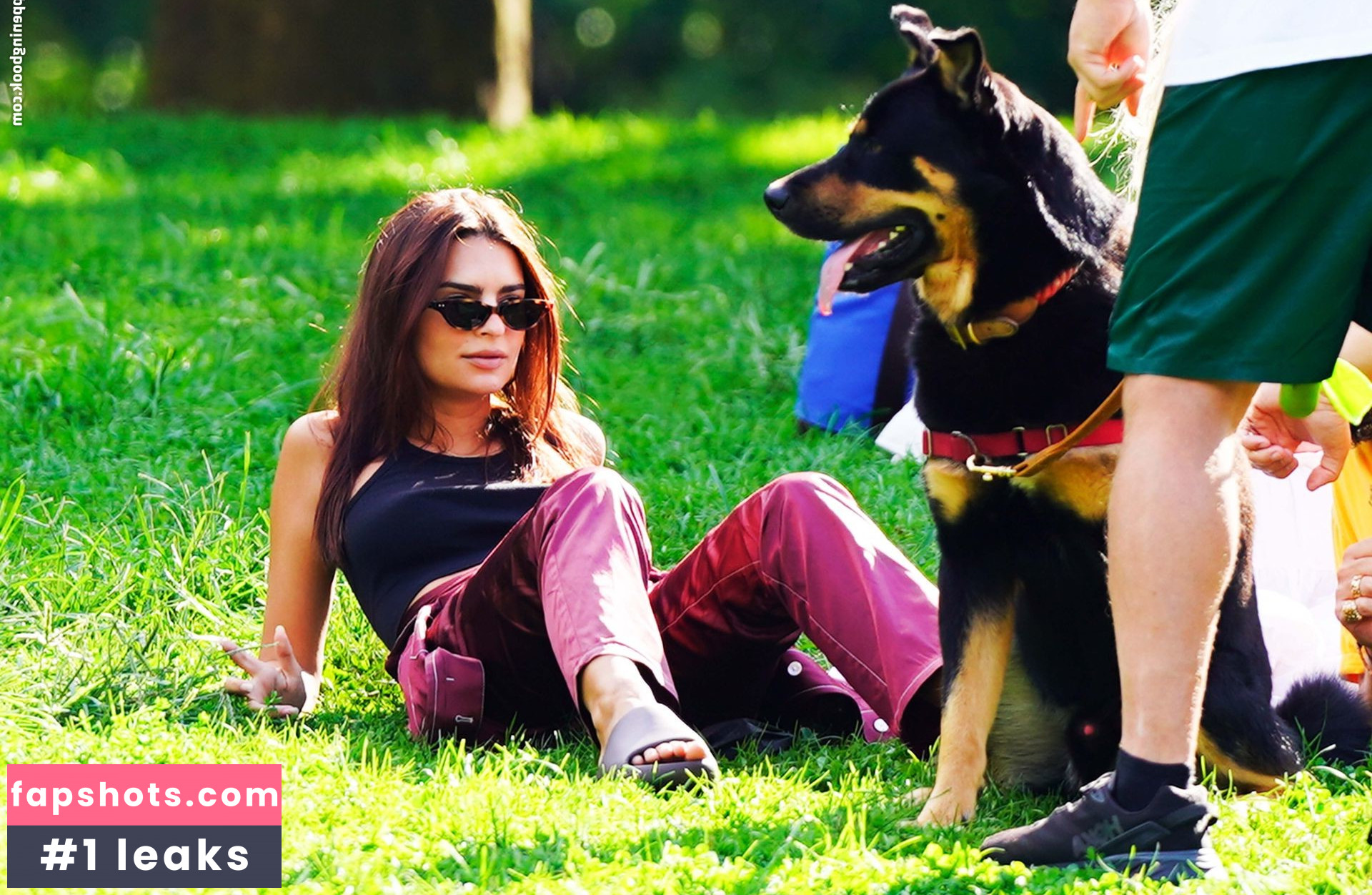 Emily Ratajkowski gallery photo #5464