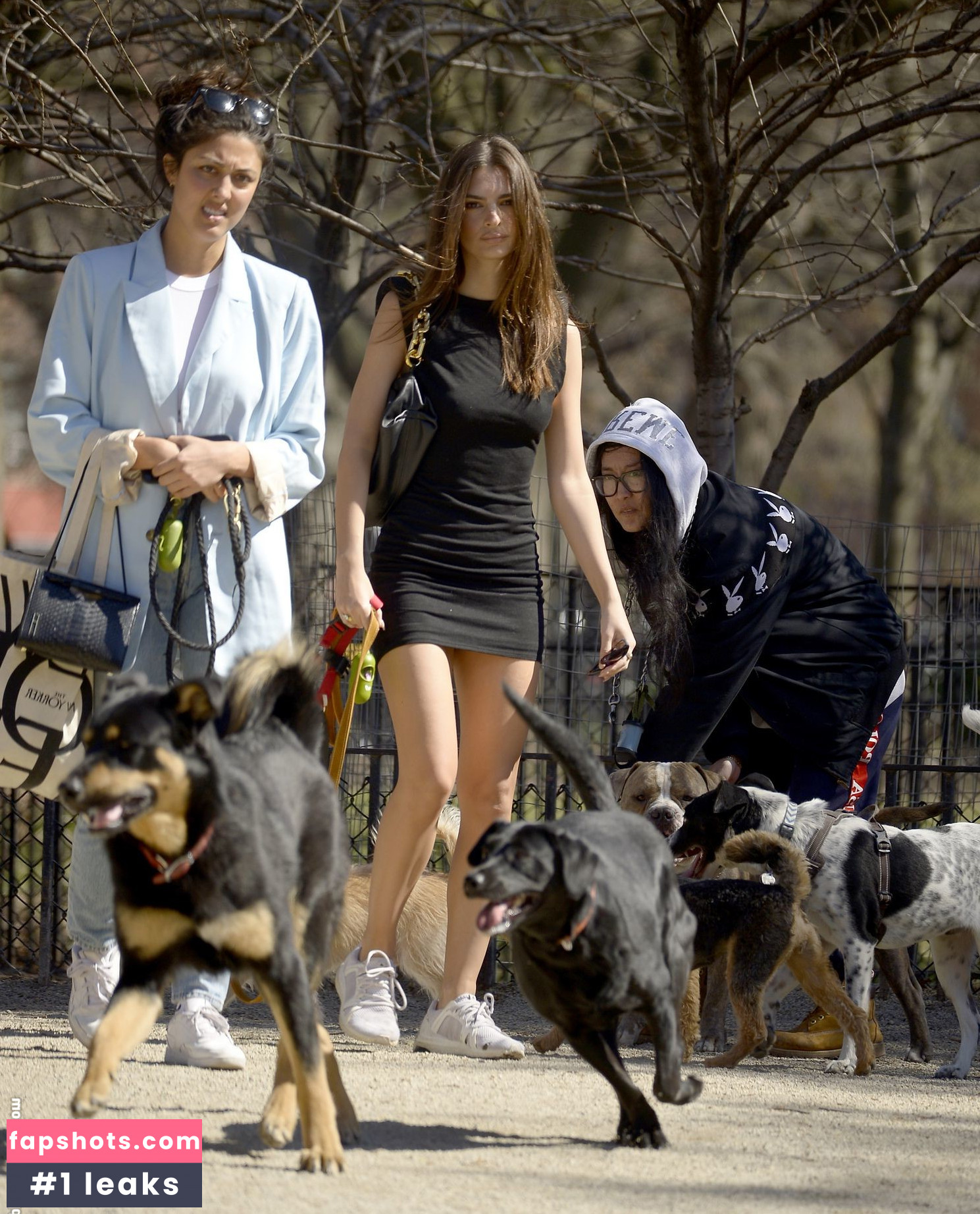 Emily Ratajkowski gallery photo #5727