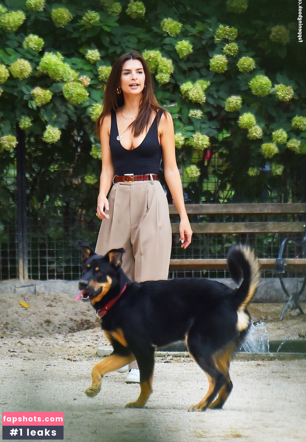 Emily Ratajkowski gallery photo #6021