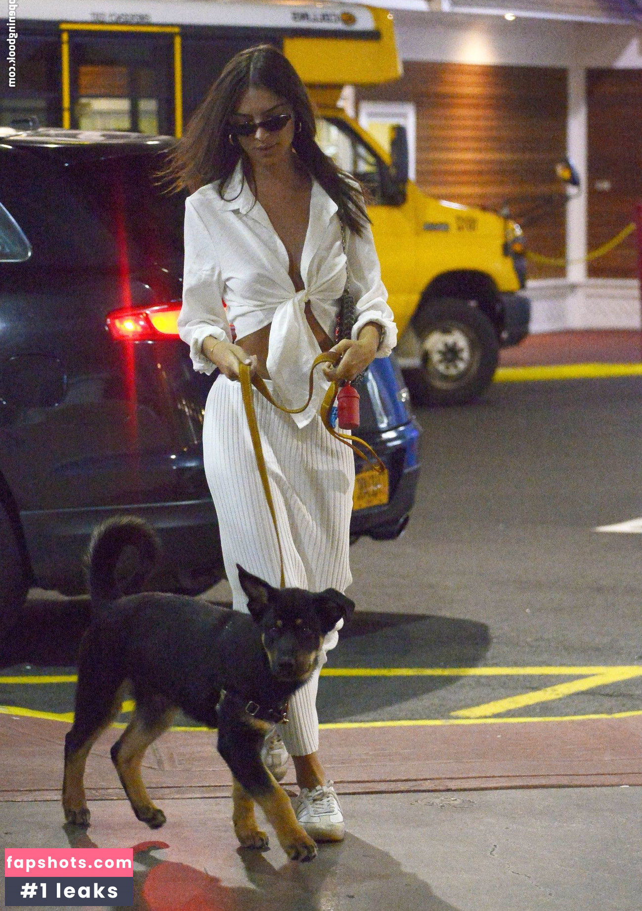 Emily Ratajkowski gallery photo #6172