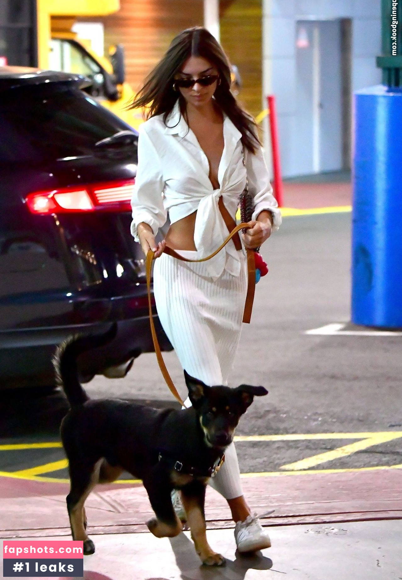 Emily Ratajkowski gallery photo #6175