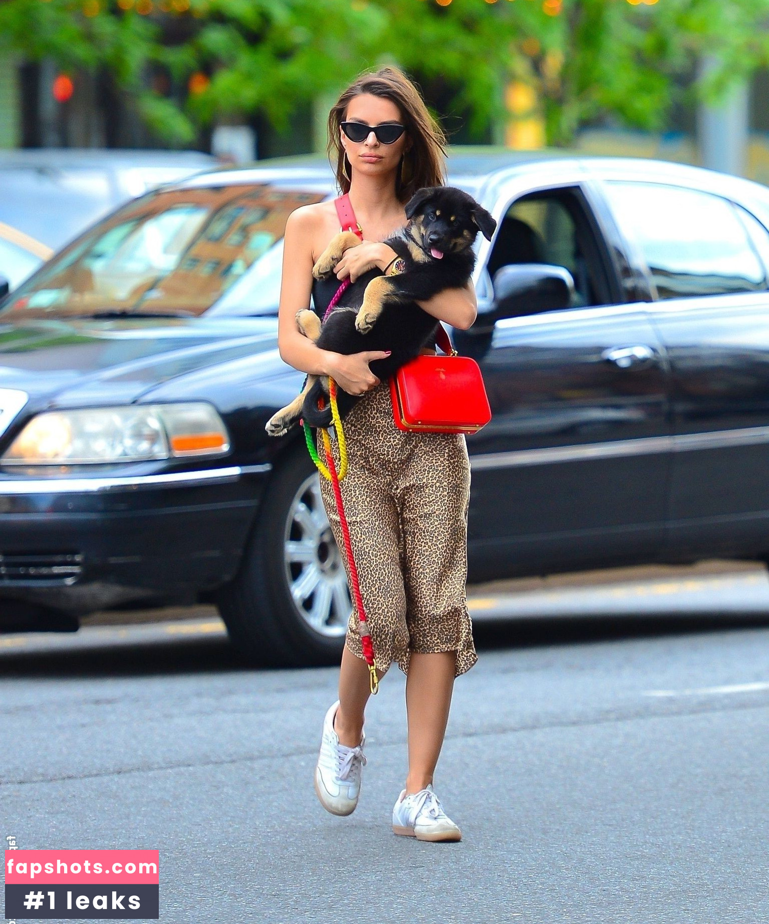 Emily Ratajkowski gallery photo #6343