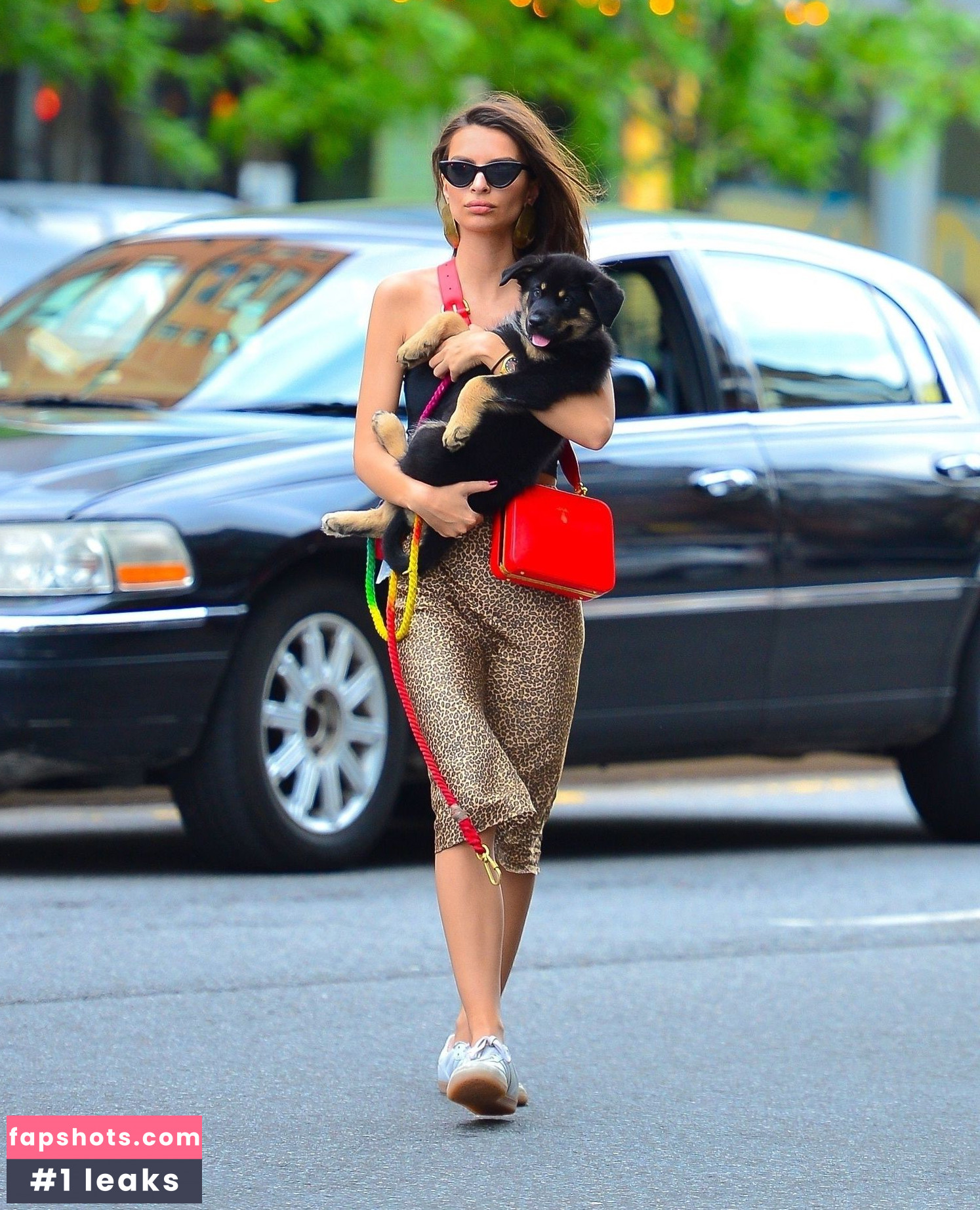 Emily Ratajkowski gallery photo #6351