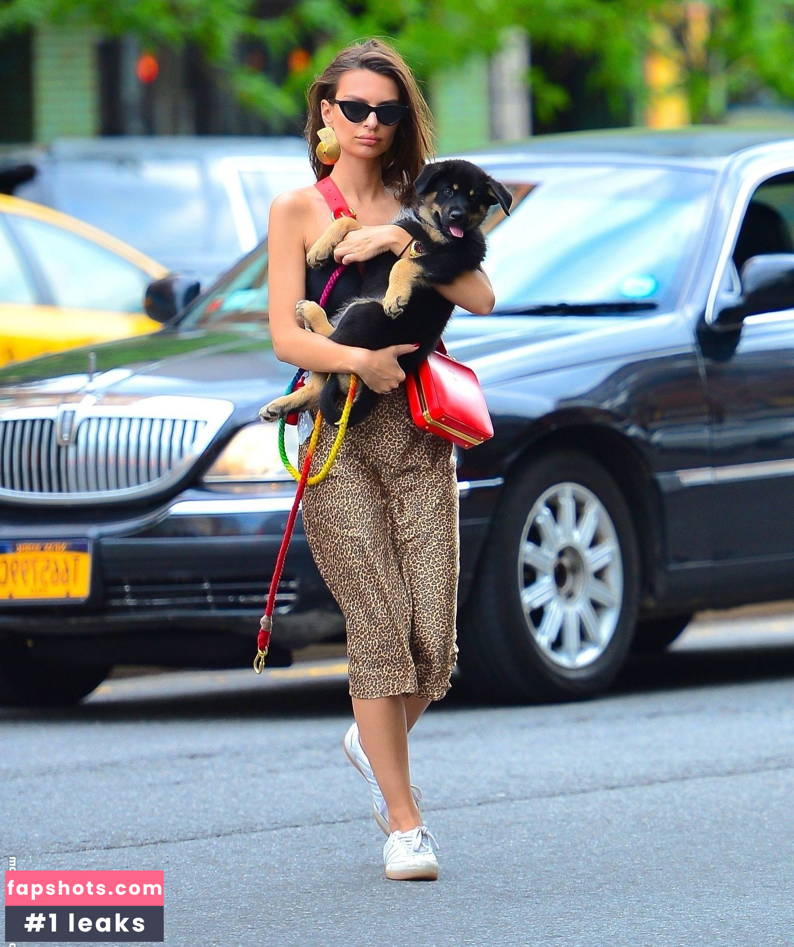 Emily Ratajkowski gallery photo #6353