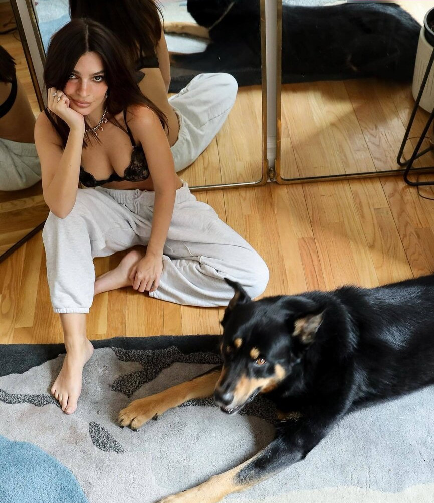 emily-ratajkowski gallery photo #1167