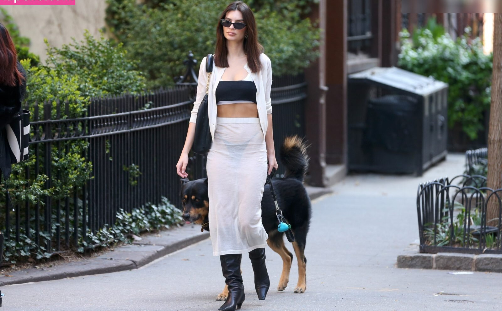 emily-ratajkowski gallery photo #1181