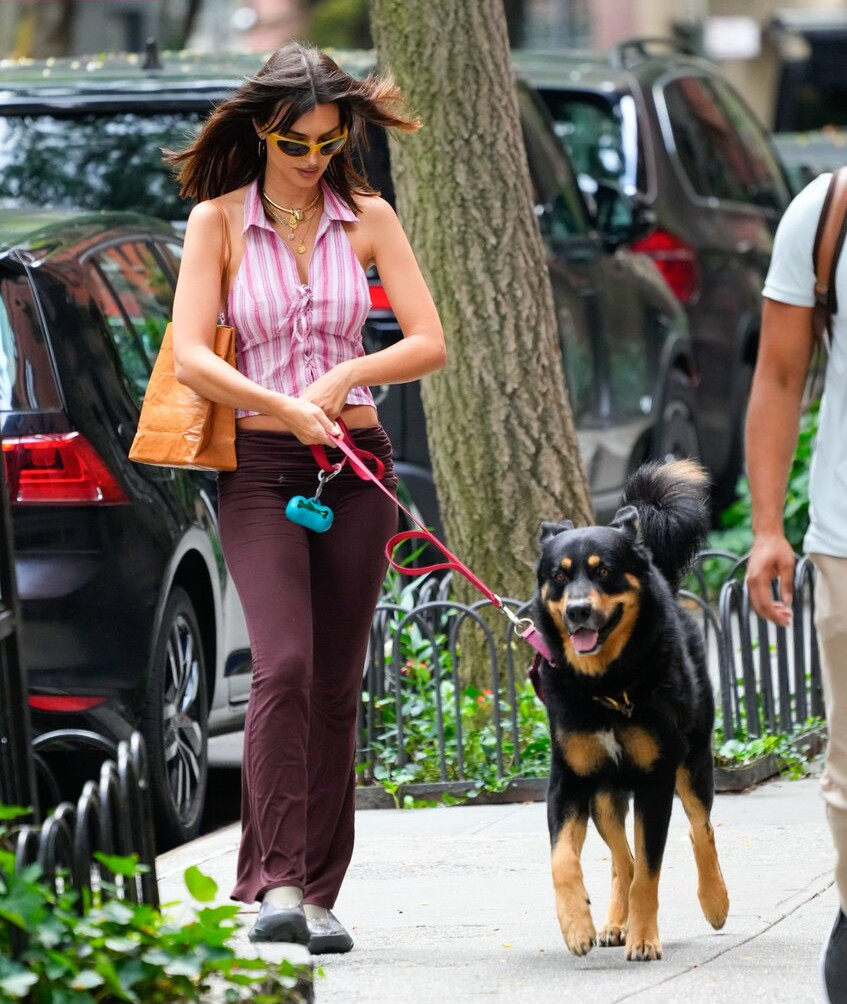 emily-ratajkowski gallery photo #660