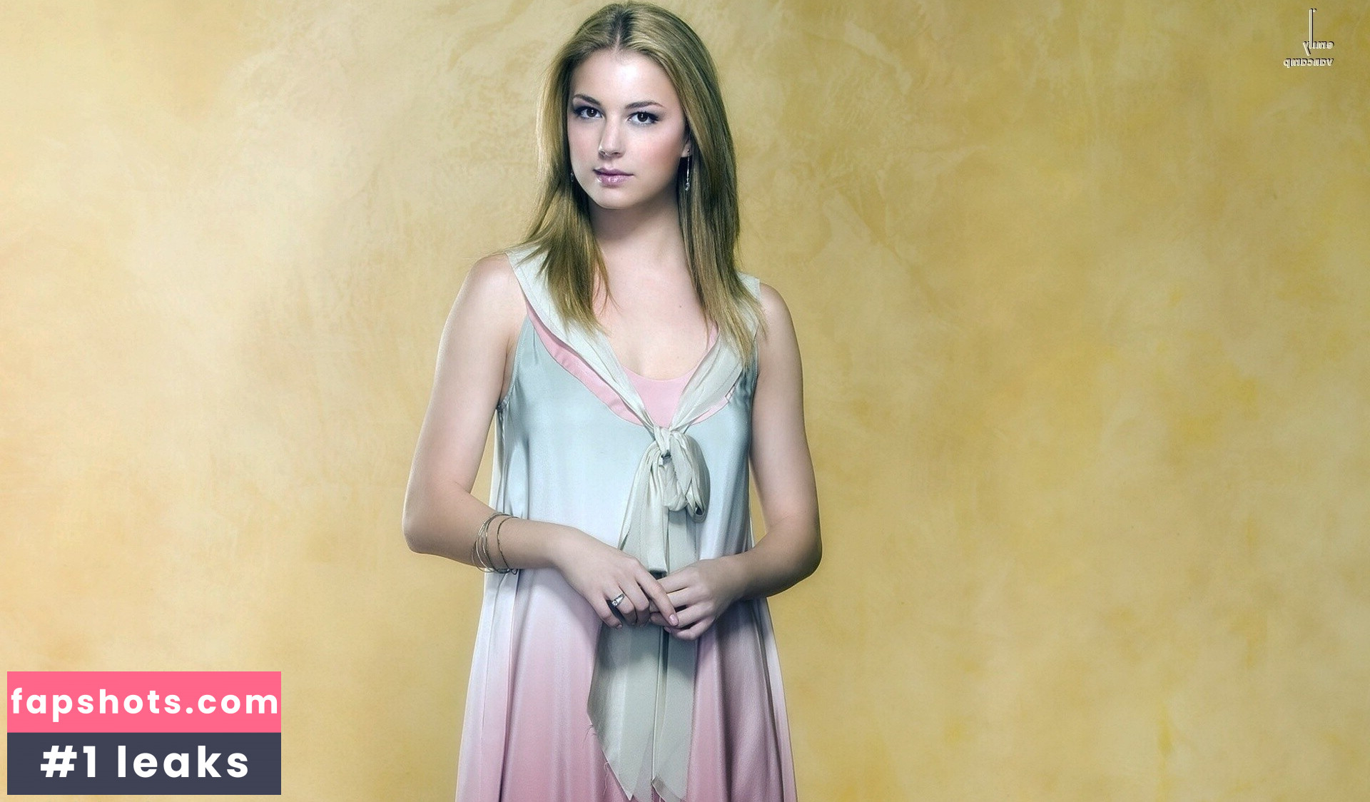 Emily VanCamp Filtración Desnuda OnlyFans Foto #27 - Fapshots