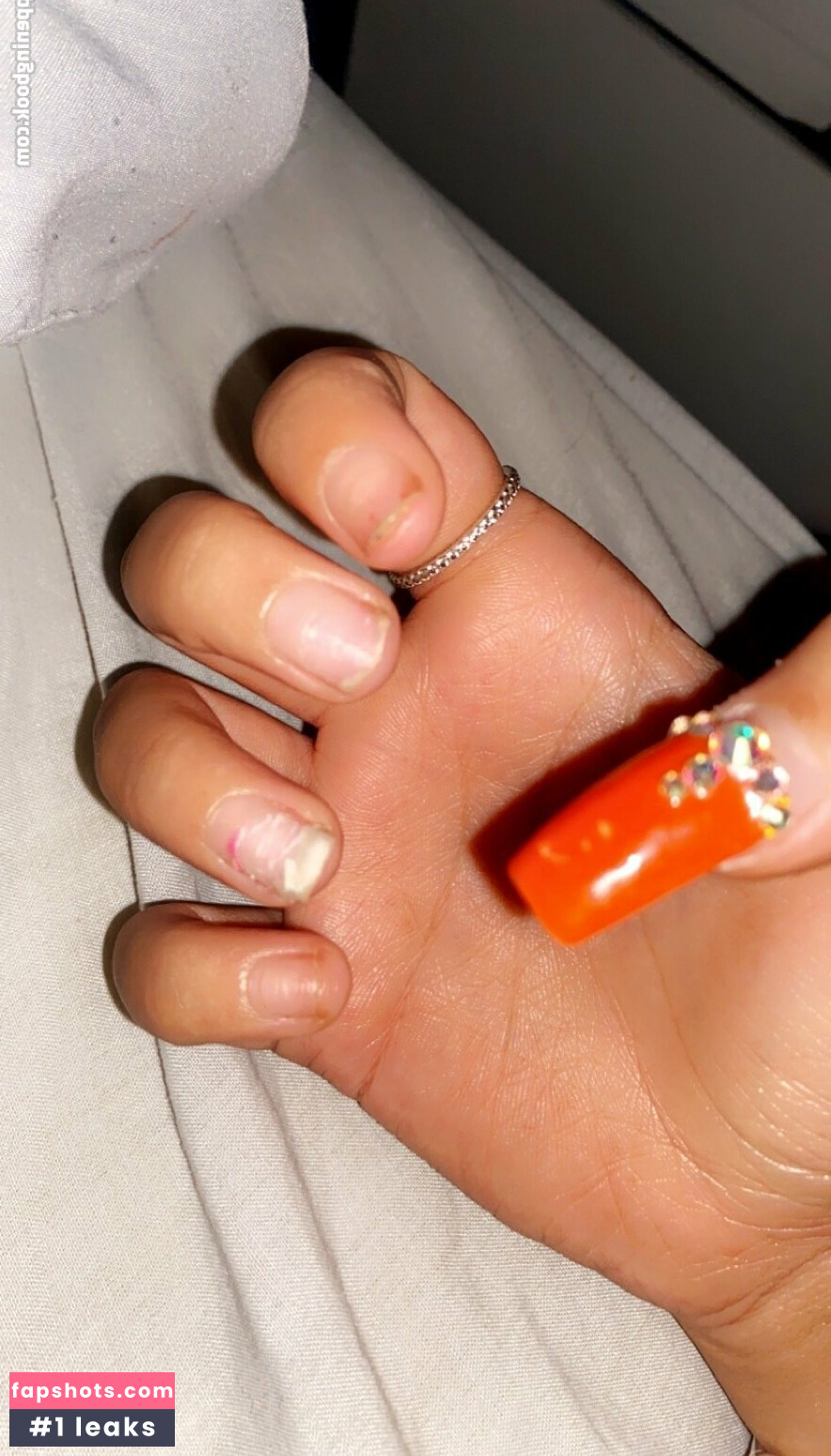 emilyexotics gallery photo #17