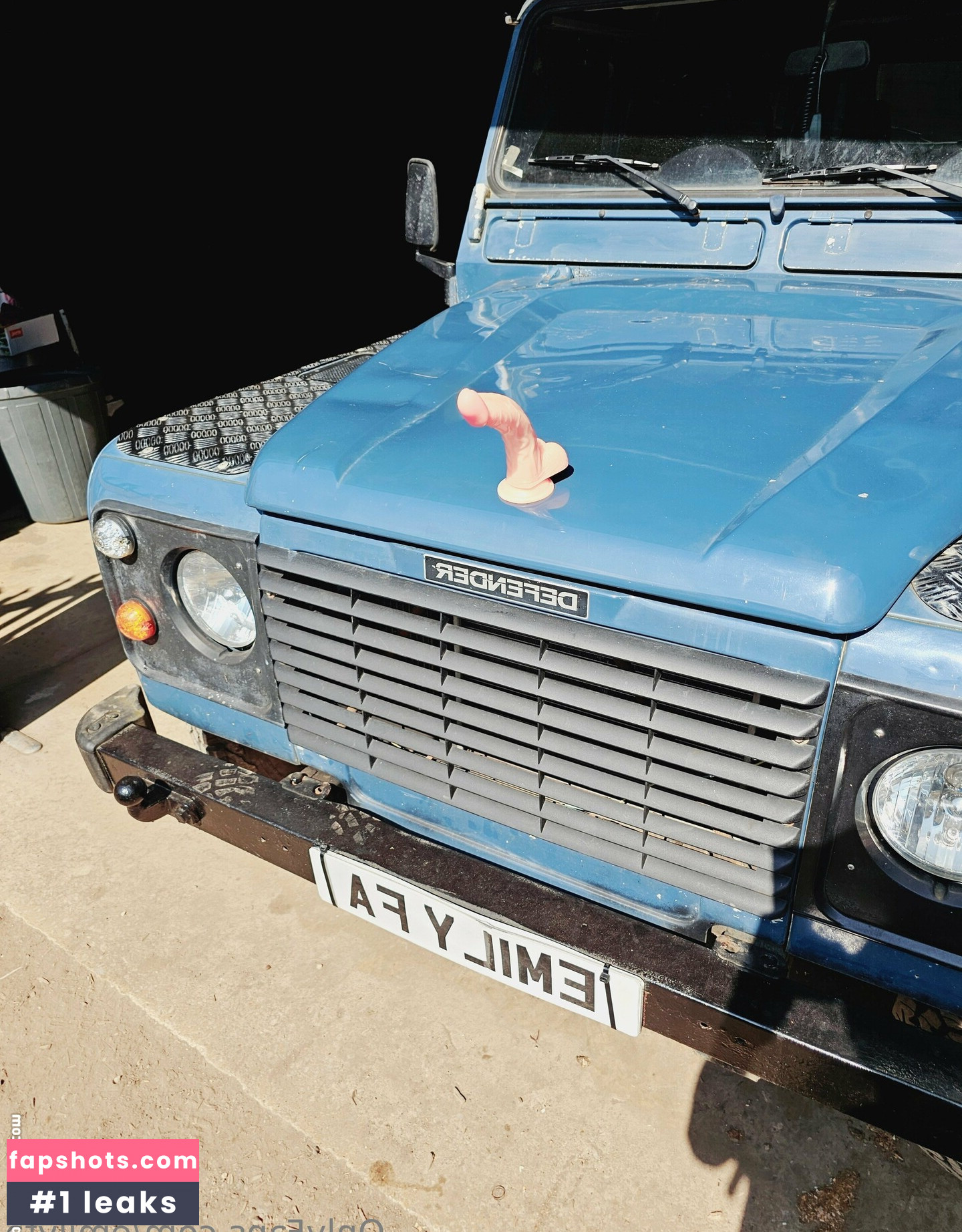 emilyfa gallery photo #15