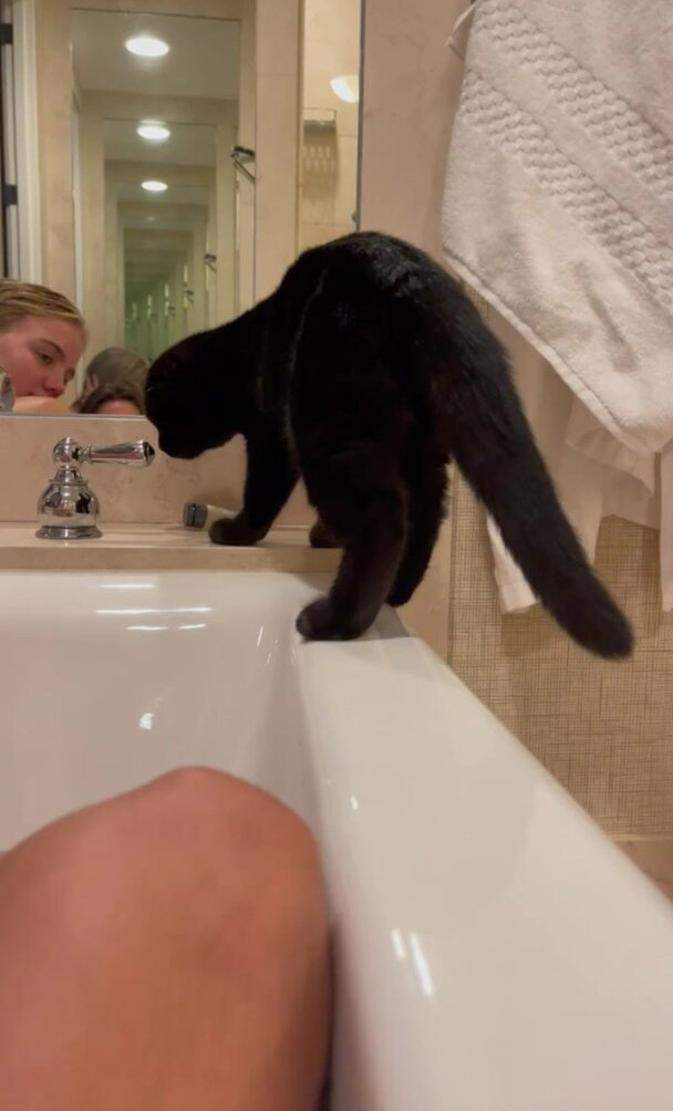 emma-brooks Nude Leaks OnlyFans Photos #529 - LeakJerk