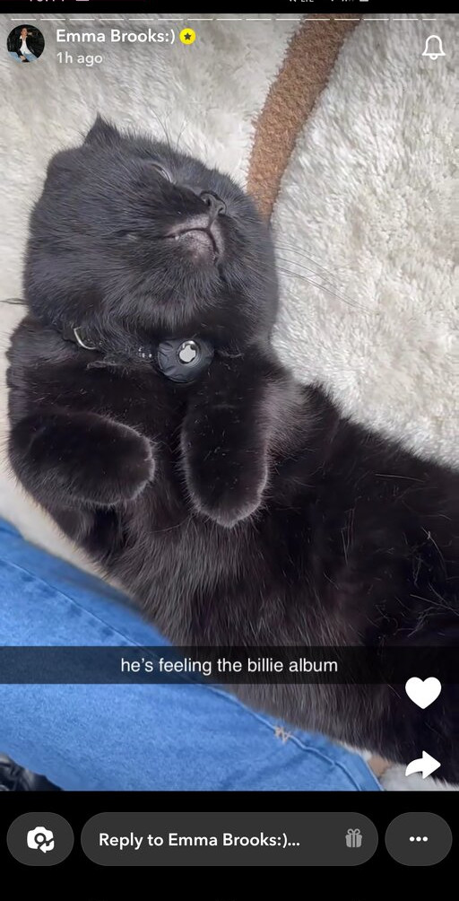 emma-brooks gallery photo #820