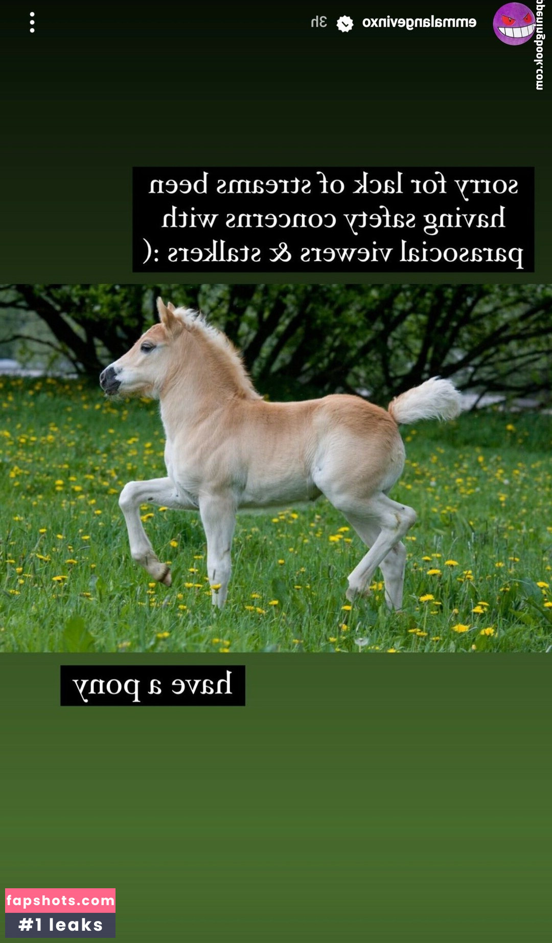 Emma Langevin gallery photo #62