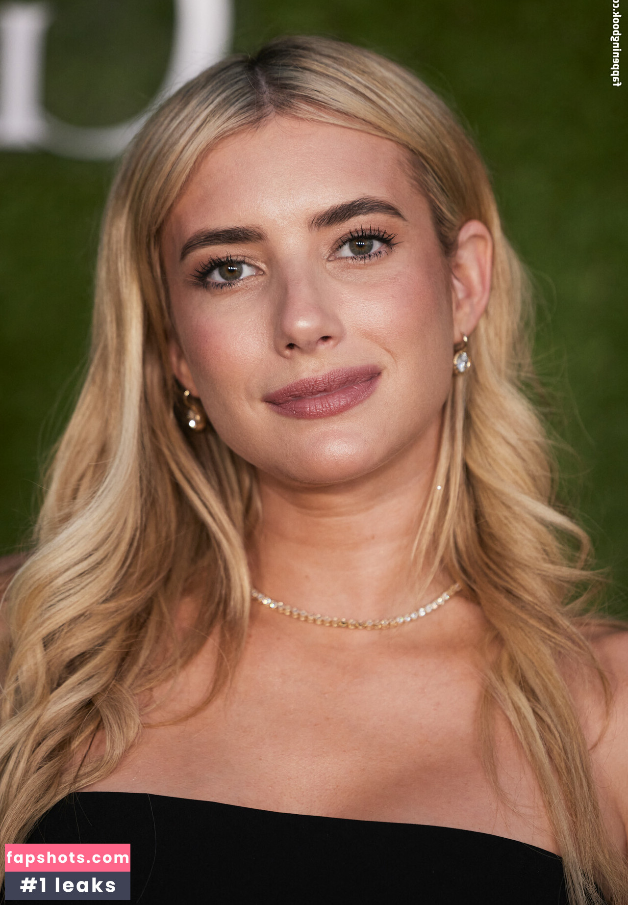 Emma Roberts Nahé úniky fotek pouze od fanoušků #70 - Fapshots