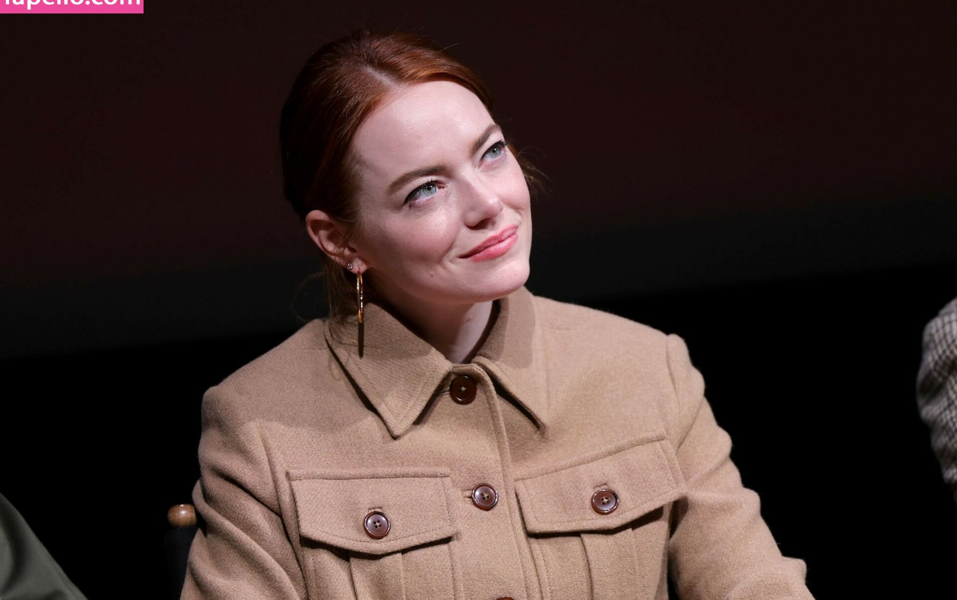 emma-stone Nude Leaks OnlyFans Photos #1663 - LeakJerk