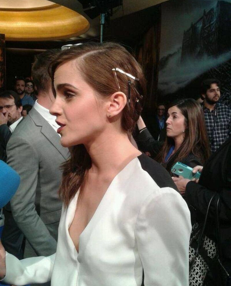 emma-watson Nude Leaks OnlyFans Photos #1026 - LeakJerk