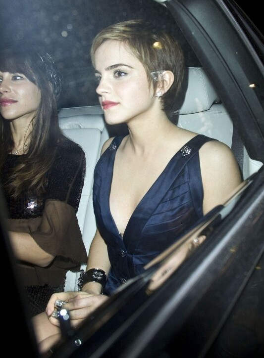 emma-watson Nude Leaks OnlyFans Photos #607 - LeakJerk