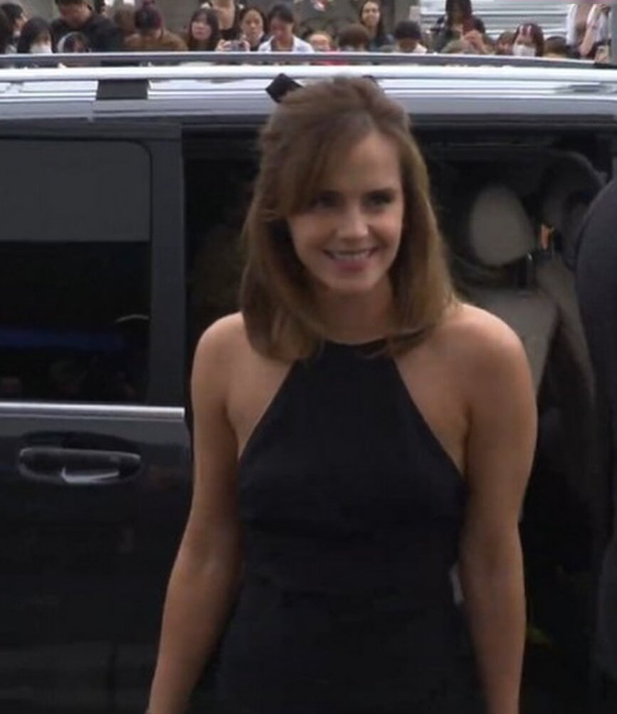 emma-watson Nude Leaks OnlyFans Photos #662 - LeakJerk