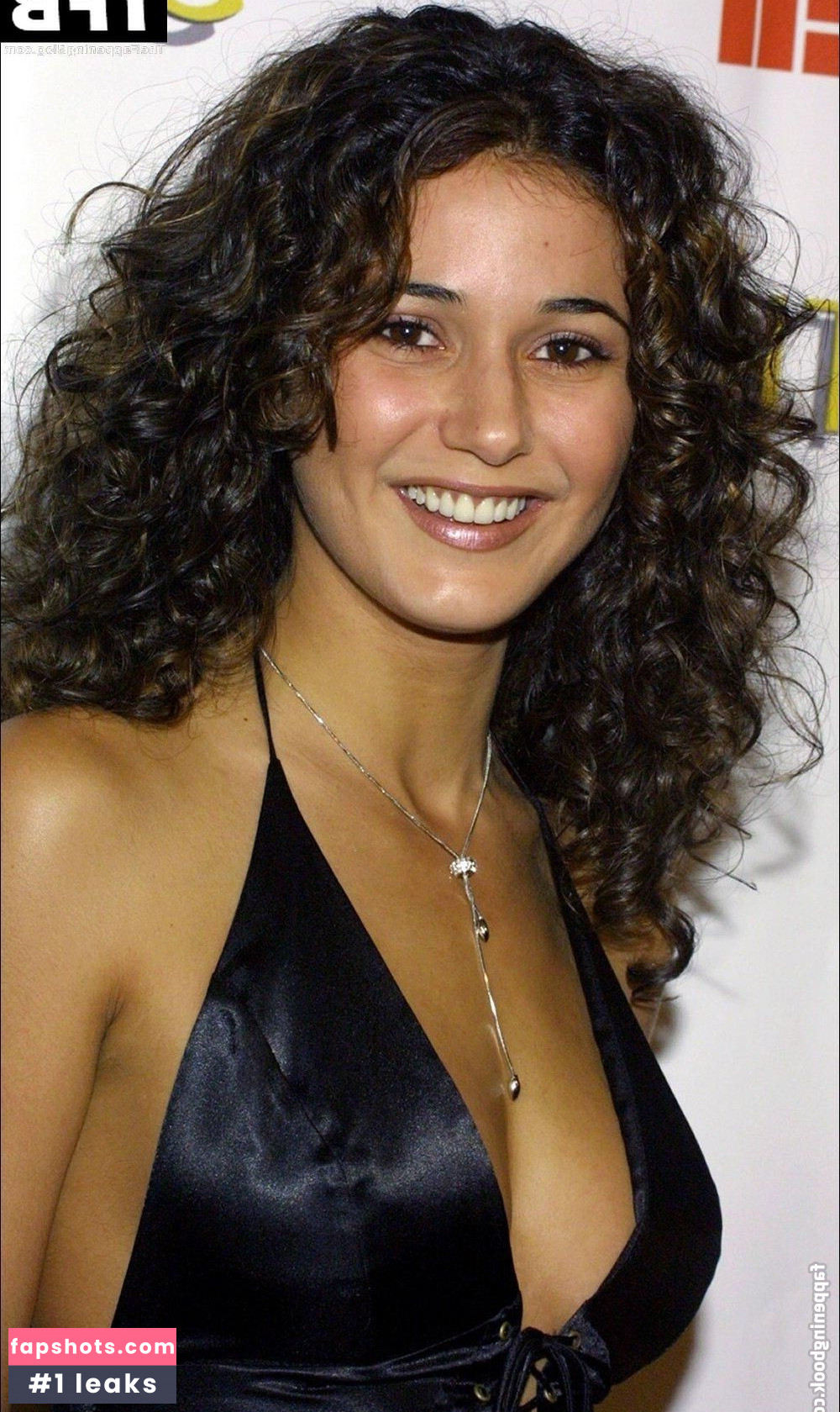 Emmanuelle Chriqui Nude Leaks OnlyFans Photos #263 - Fapshots