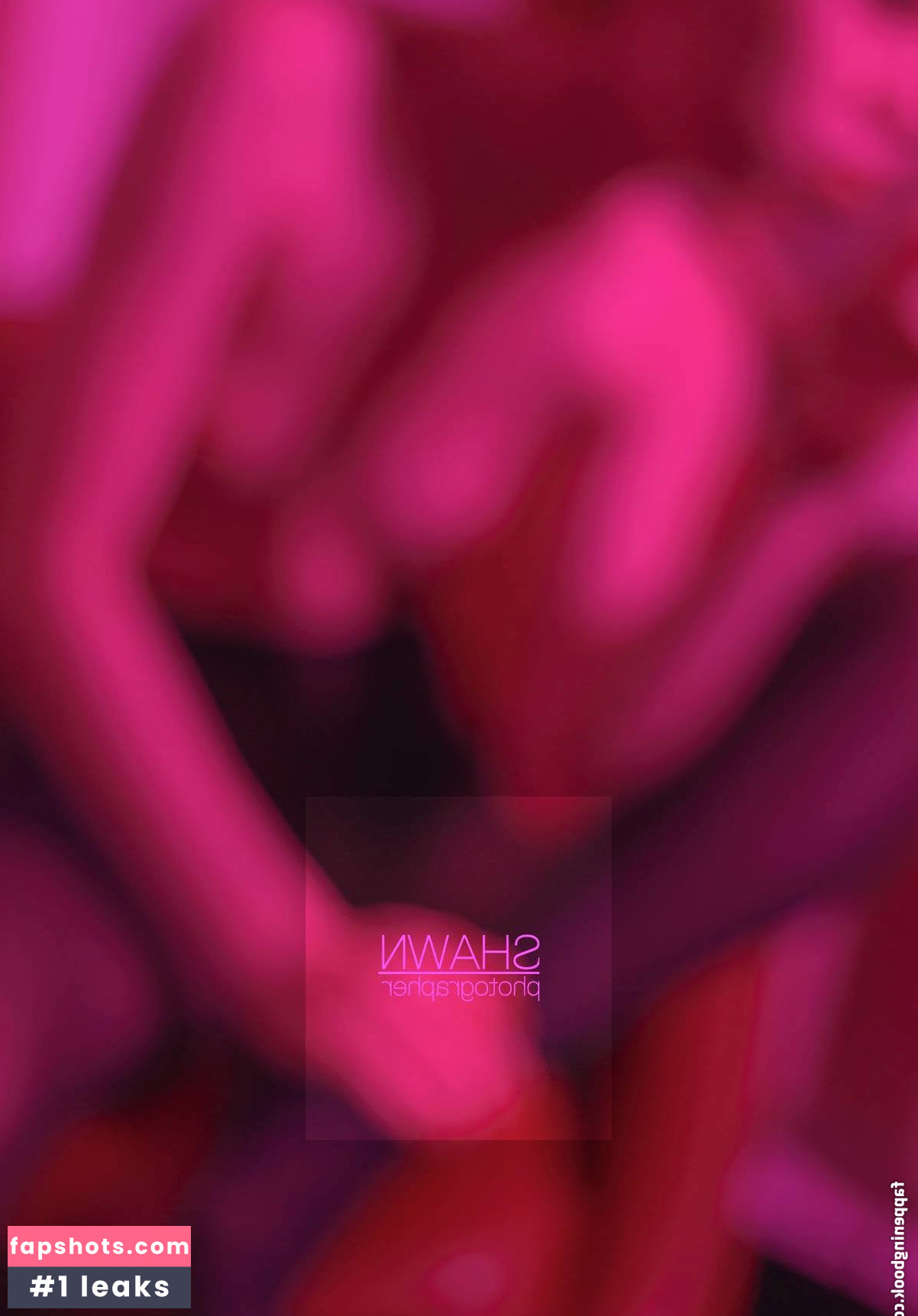 EmotionalBirdy gallery photo #14