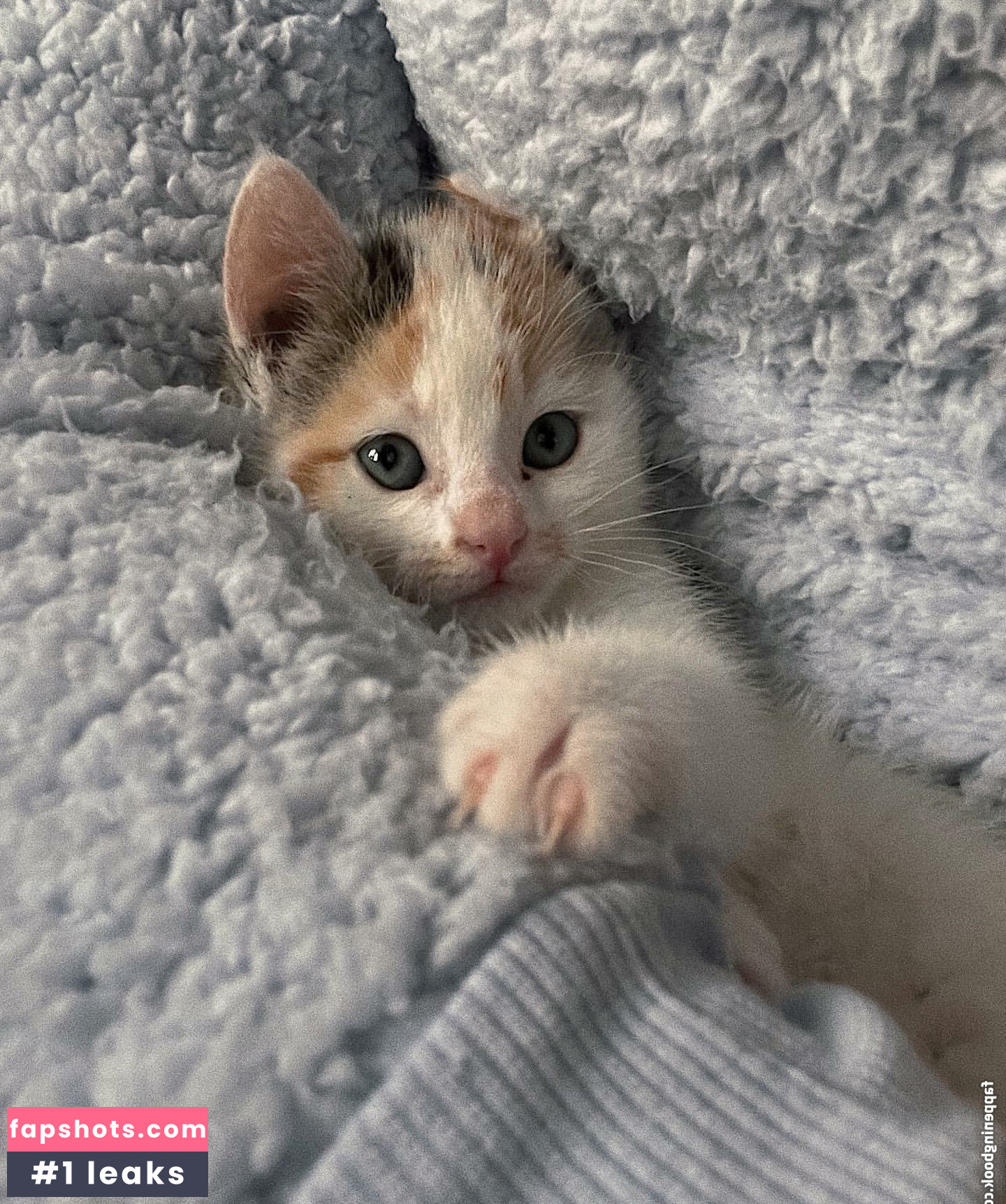 emss.x gallery photo #30