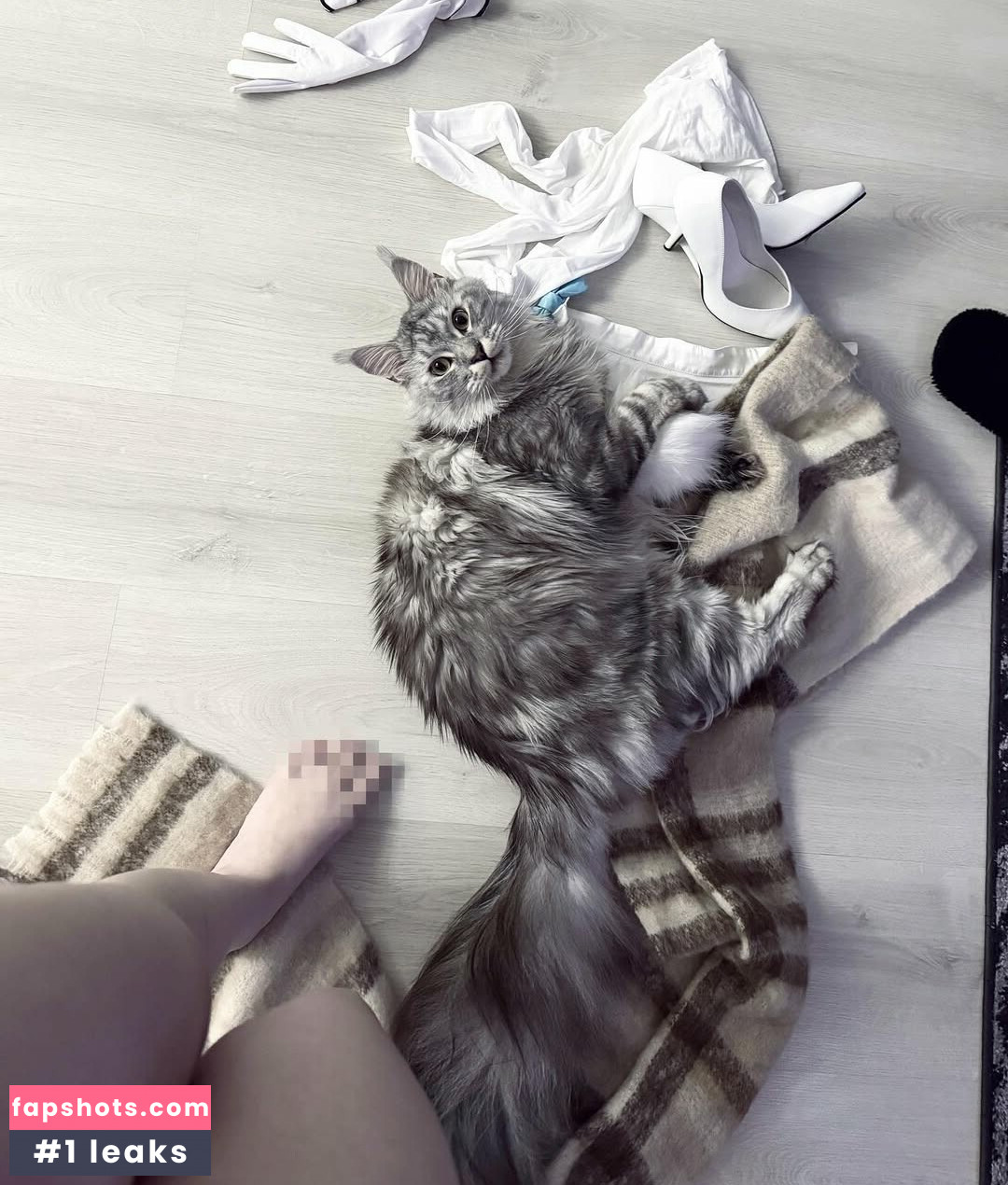 epicinternetgf gallery photo #20