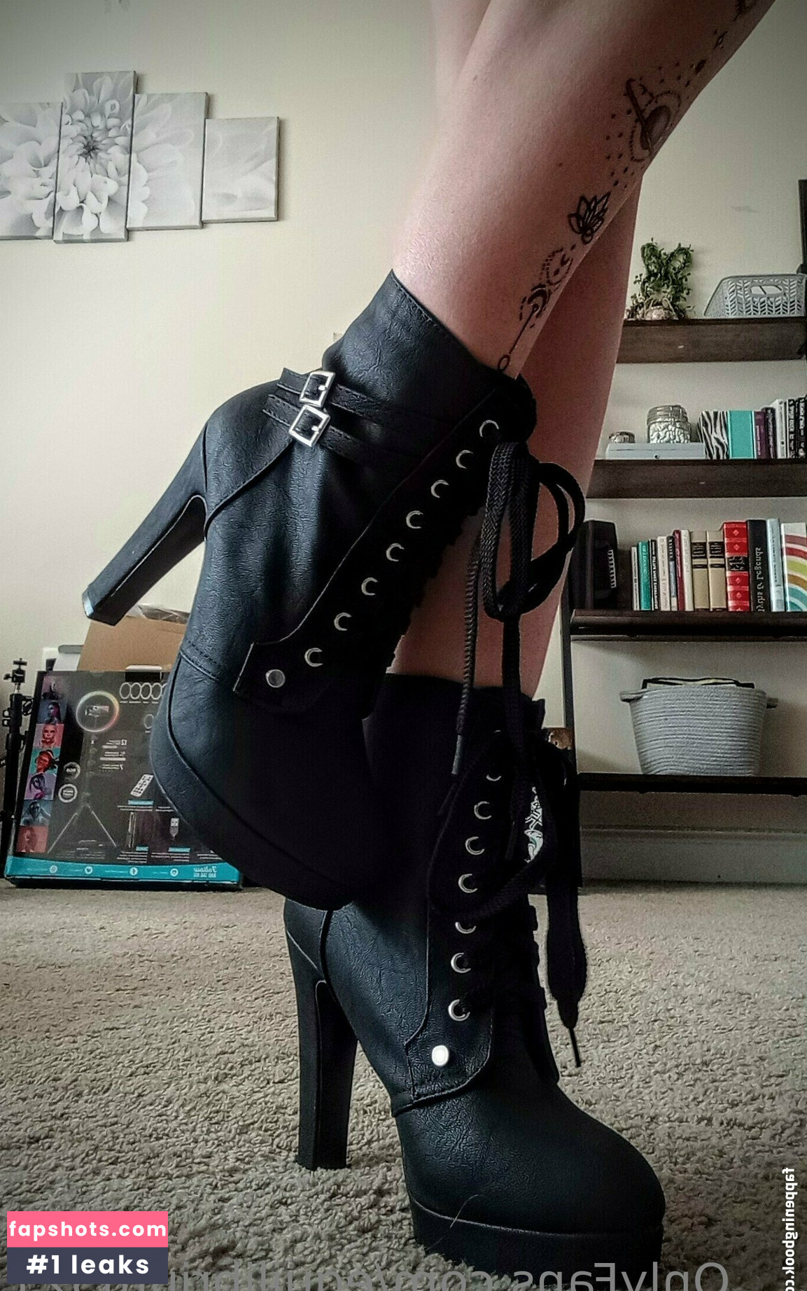 equilibrium321 gallery photo #3