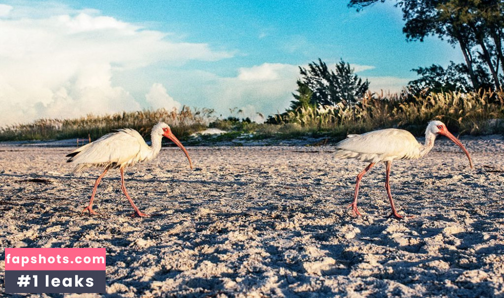 Erica Candice gallery photo #3