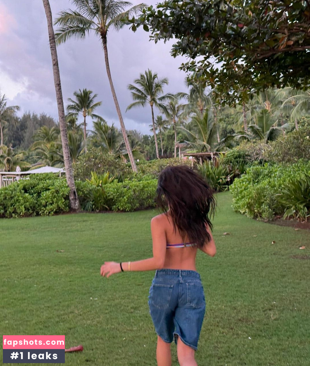 Erica Ha Nude Leaks OnlyFans Photos #31 - LeakJerk