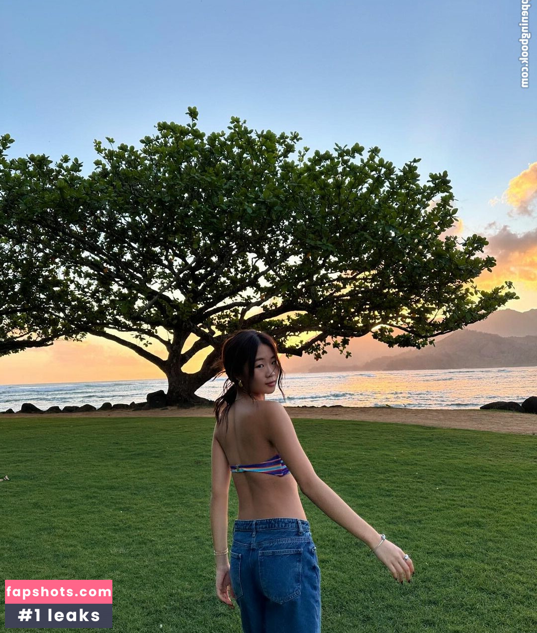 Erica Ha Nude Leaks OnlyFans Photos #33 - LeakJerk