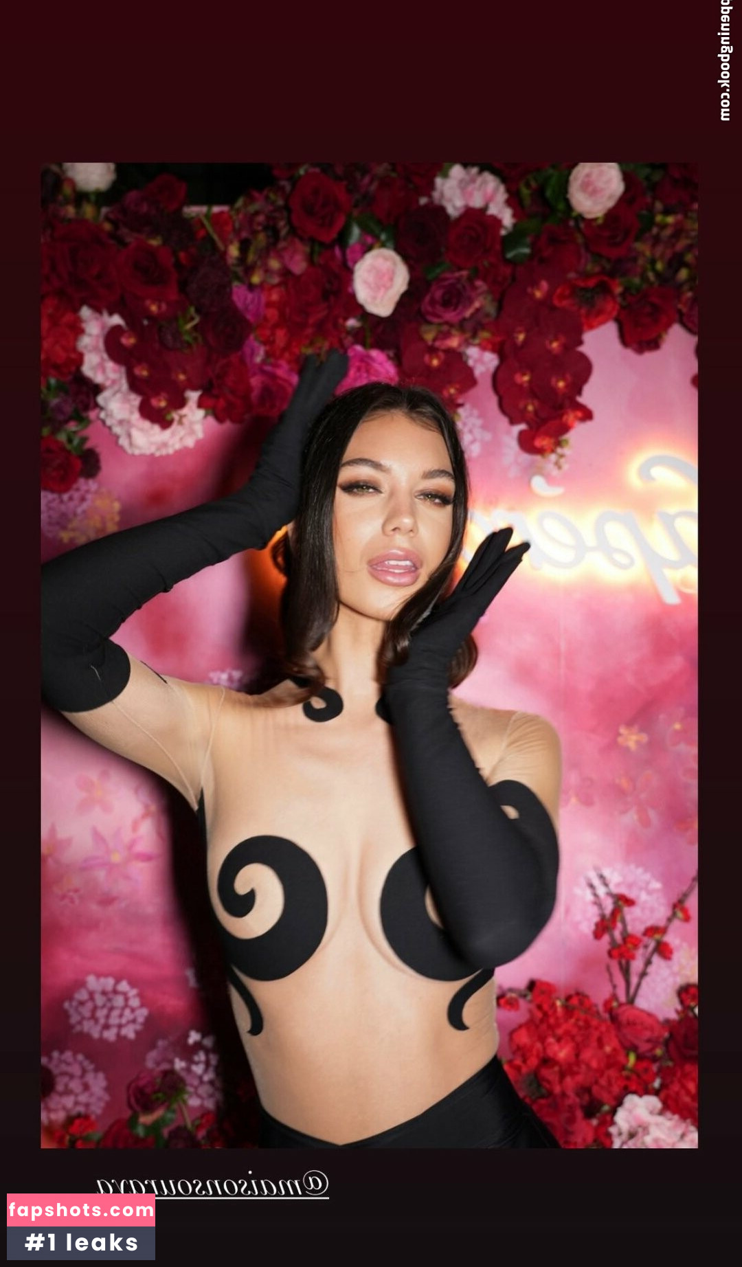 Erin Willerton gallery photo #3