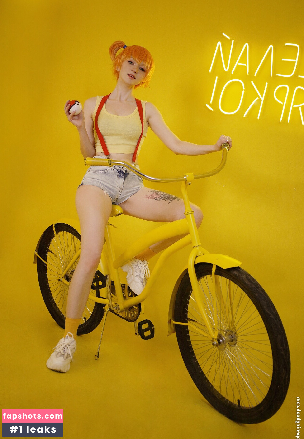 Erodaicon gallery photo #8