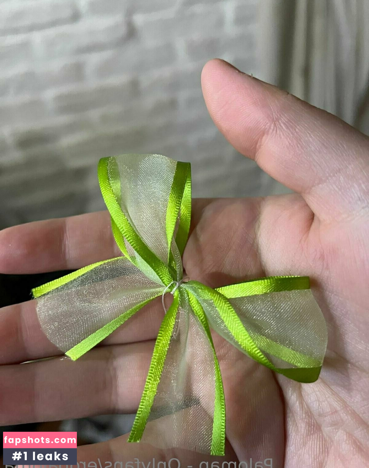 eropaloma gallery photo #25