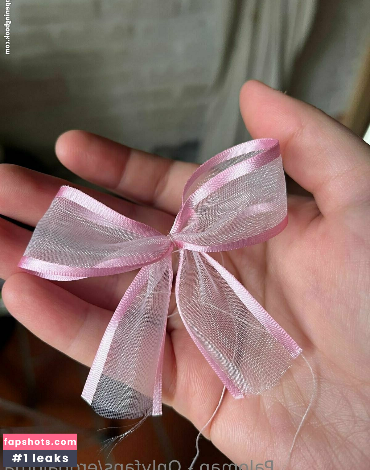 eropaloma gallery photo #33