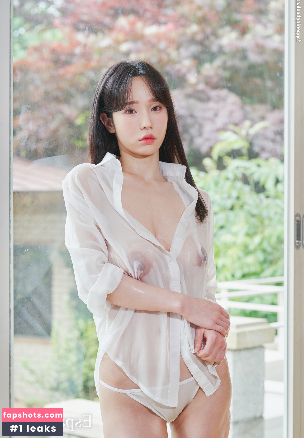 Espacia Korea gallery photo #230