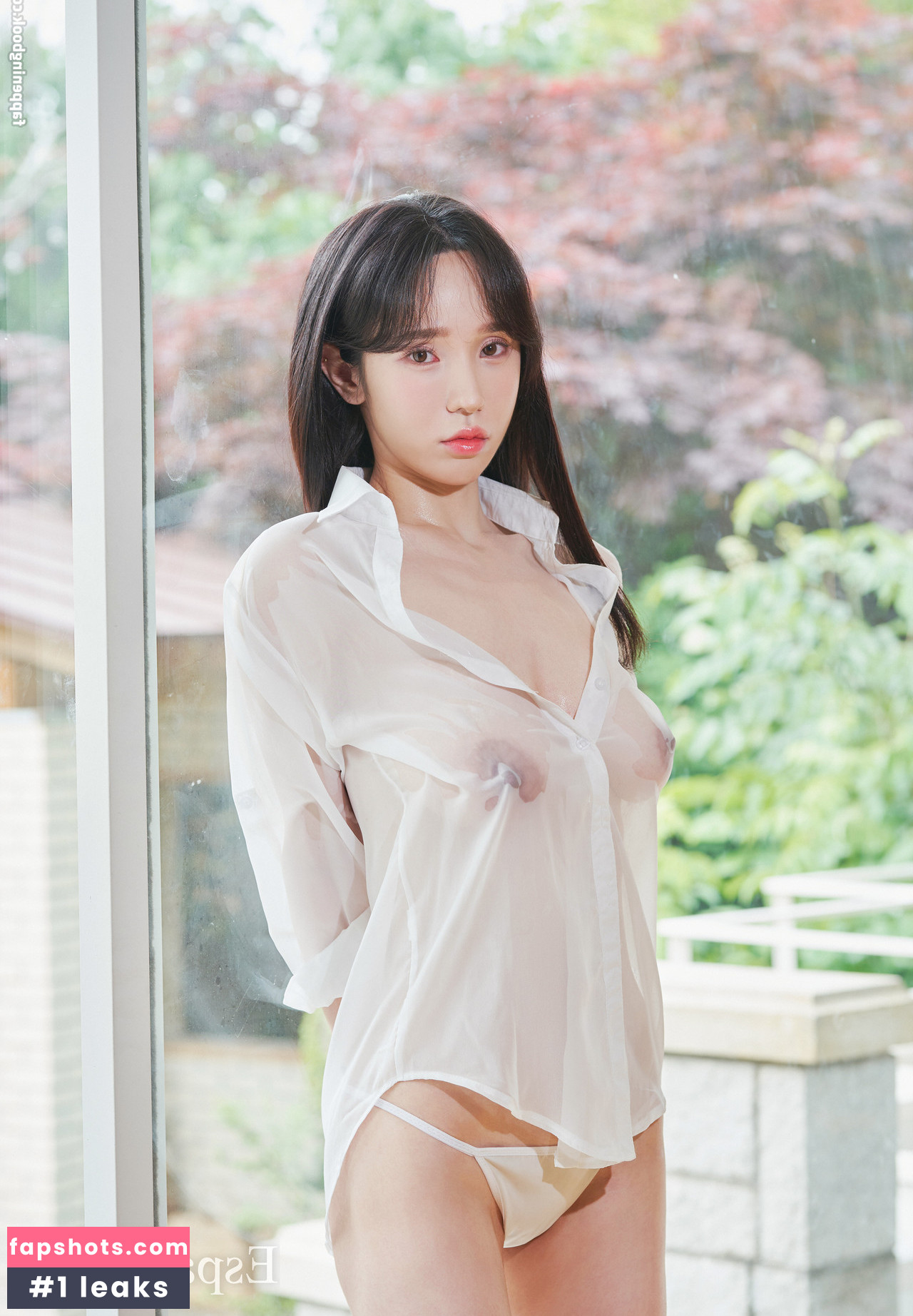 Espacia Korea gallery photo #231