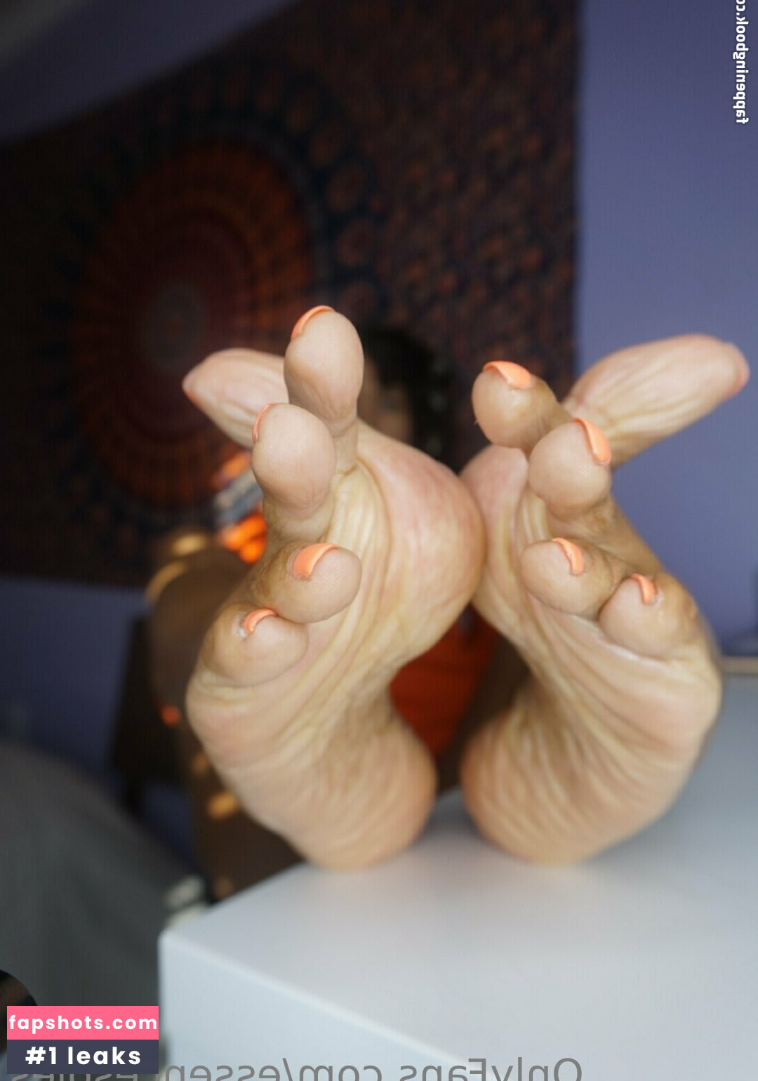 essencesoles gallery photo #11