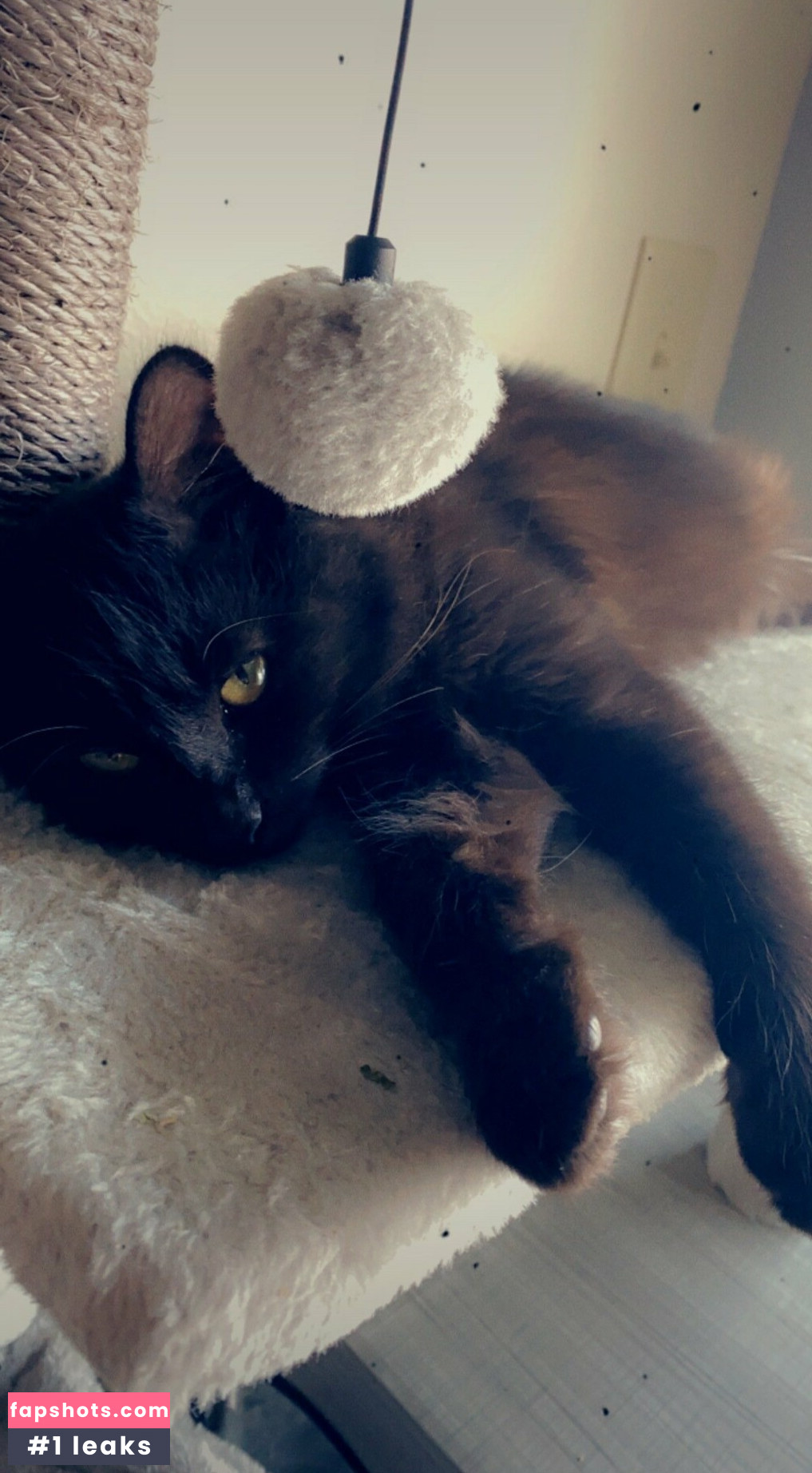 estherlynnriefree gallery photo #43